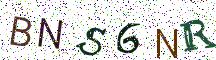 BNS6NR