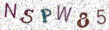 NSPW85