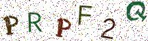 PRPF2Q