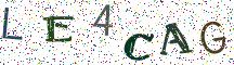 LE4CAG