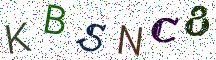 KBSNC8