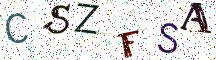 CSZFSA