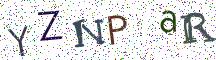 YZNPaR