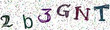 2b3GNT