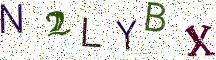 N2LYBX