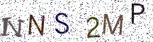 NNS2MP