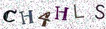 CH4HLS