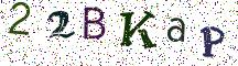 22BKaP