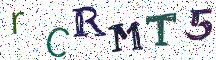 rCRMT5