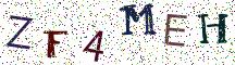 ZF4MEH