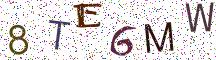 8TE6MW