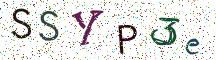 SSYP3e