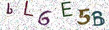 bL6E5B