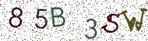 85B3SW