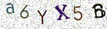 a6YX5B