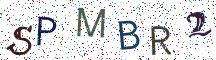 SPMBR2