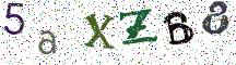 5aXZB8