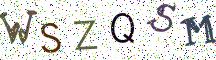 WSZQSM