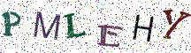 PMLEHY