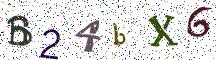B24bX6