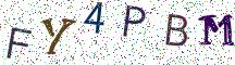 FY4PBM