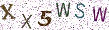 XX5WSW