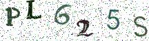PL625S