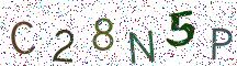 C28N5P