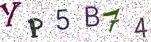 YP5B74