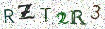 RZT2R3
