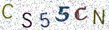 CS55CN