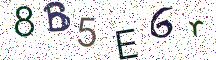 8B5E6r