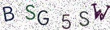BSG5SW