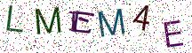 LMEM4E