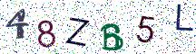 48ZB5L