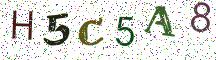 H5C5A8