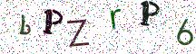 bPZrP6