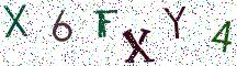 X6FXY4