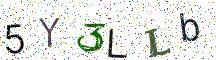 5Y3LLb