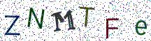 ZNMTFe