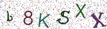 b8KSXX