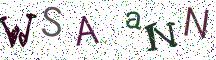 WSAaNN