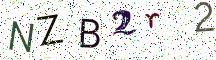 NZB2r2