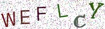 WEFLCY
