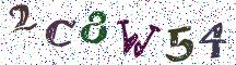 2C8W54