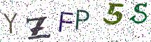 YZFP5S