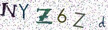NYZ6Zd