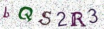 bQS2R3