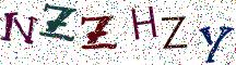 NZZHZY
