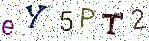eY5PT2